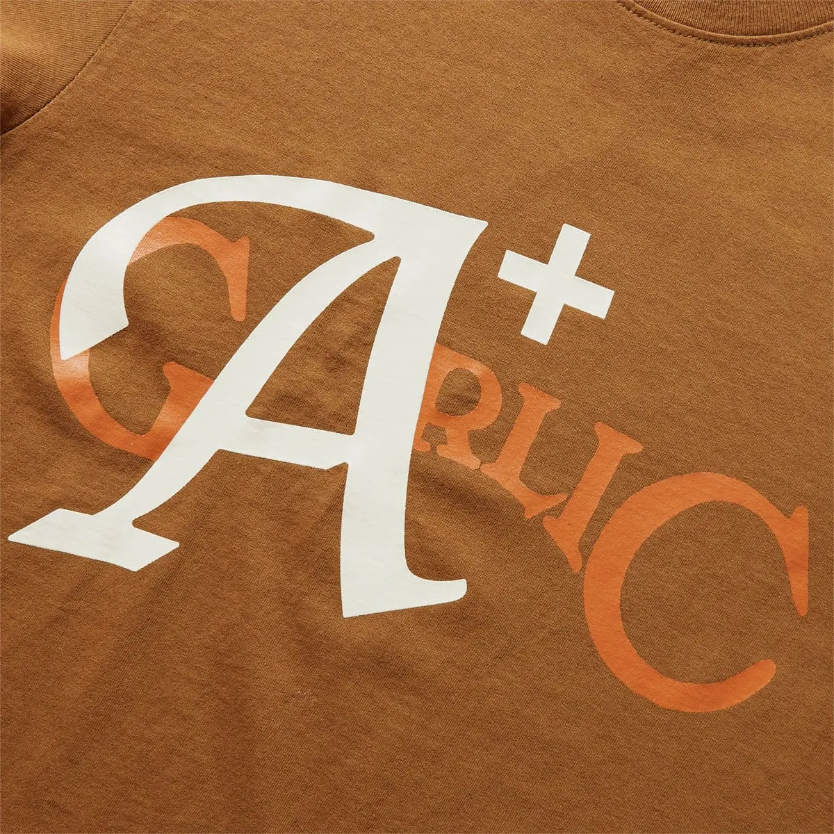 A  GARLIC T-SHIRT