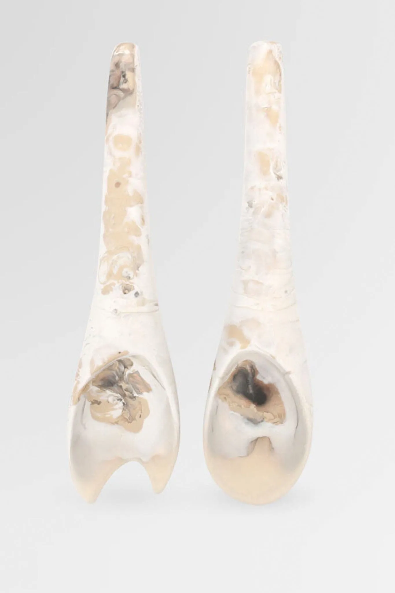 Dinosaur Designs Bones Servers - Sandy Pearl