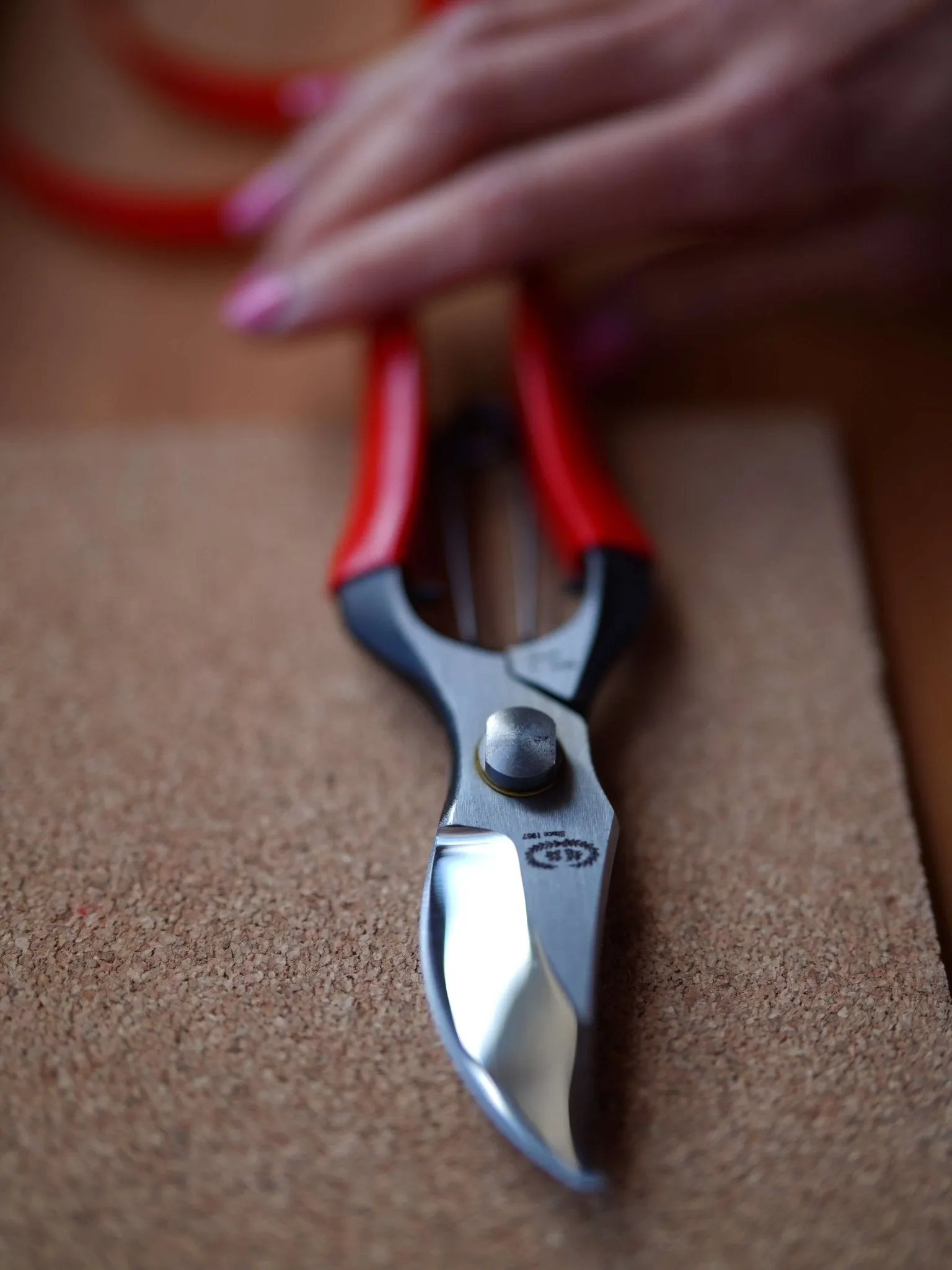 Kobayashi Pruning Shears - 200mm