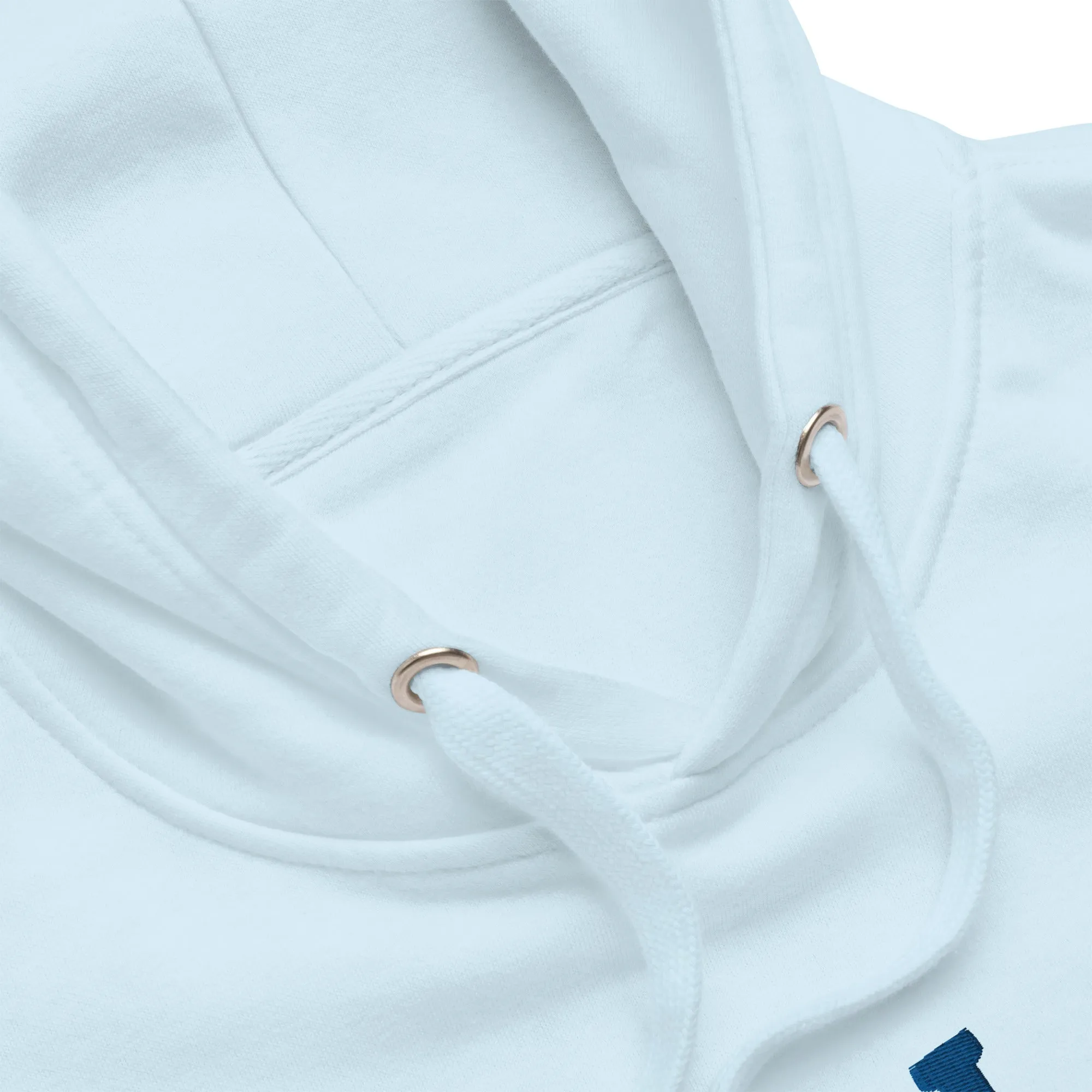 PIT LANE CLOTHING Embroidered Heavyweight Hoodie